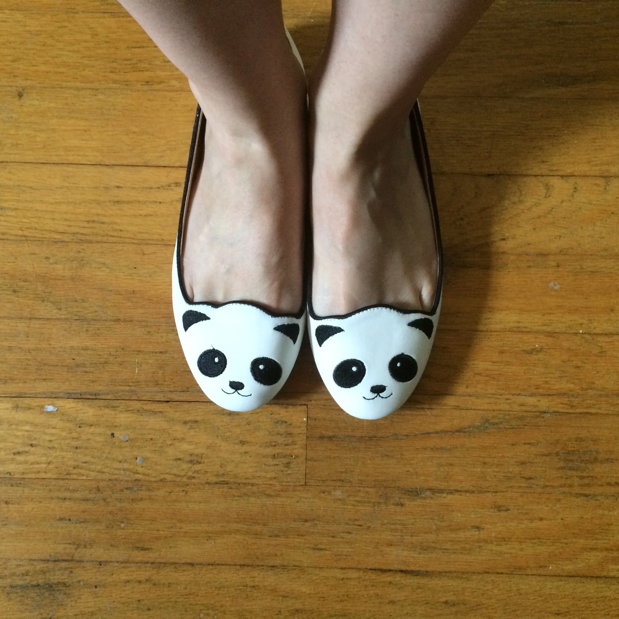 FANNY D.Co-Founder / French Mondain PigeonThe following is placeholder text known as “lorem ipsum,” which is scrambled Latin used by designers to mimic real copy. Donec ac fringilla turpis. Aliquam bibendum, turpis eu mattis iaculis, ex lorem mollis…