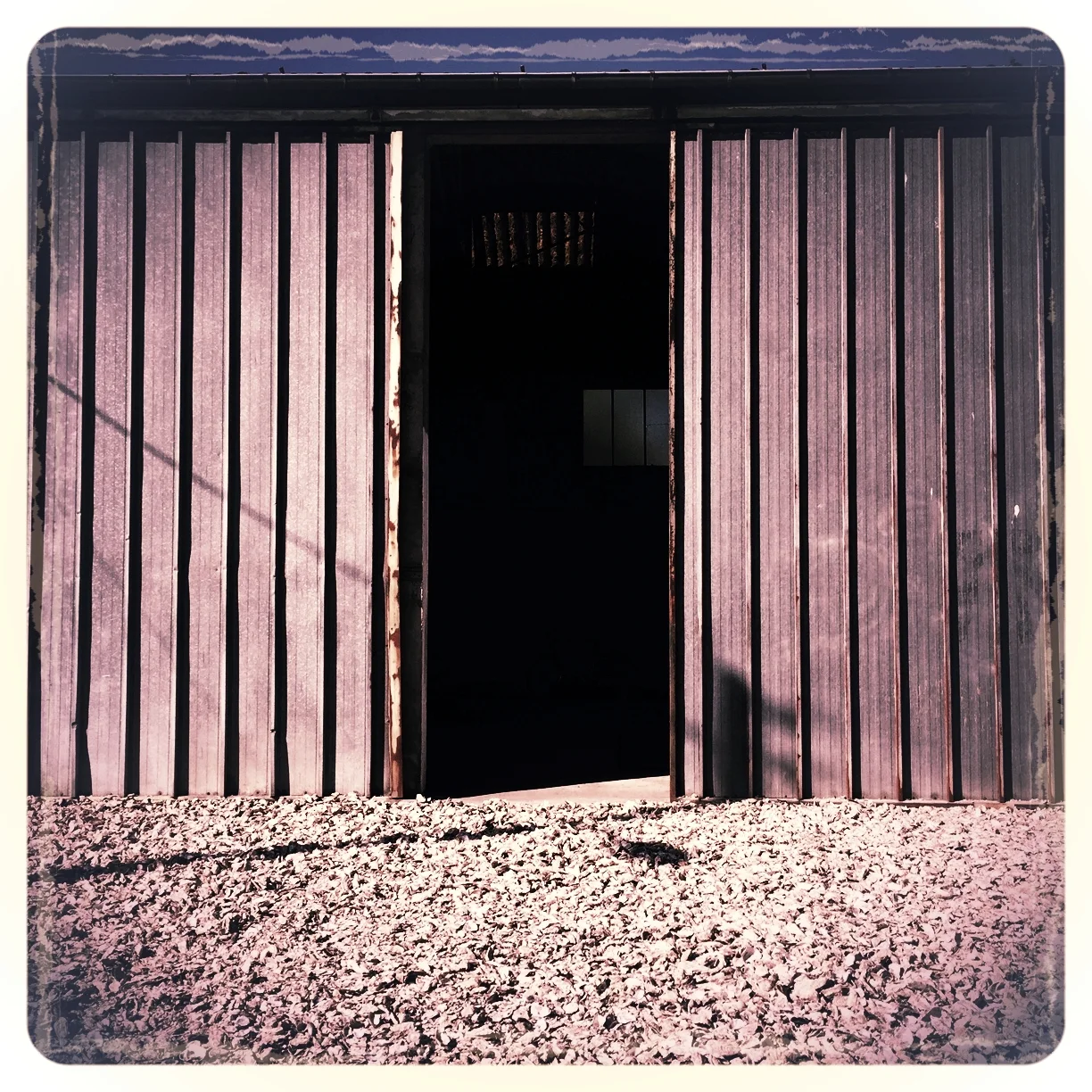 PPX - TSHIRTThe following is placeholder text known as “lorem ipsum,” which is scrambled Latin used by designers to mimic real copy. Phasellus sodales massa malesuada tellus fringilla, nec bibendum tellus blandit. Donec eu est non lacus lacinia semp…