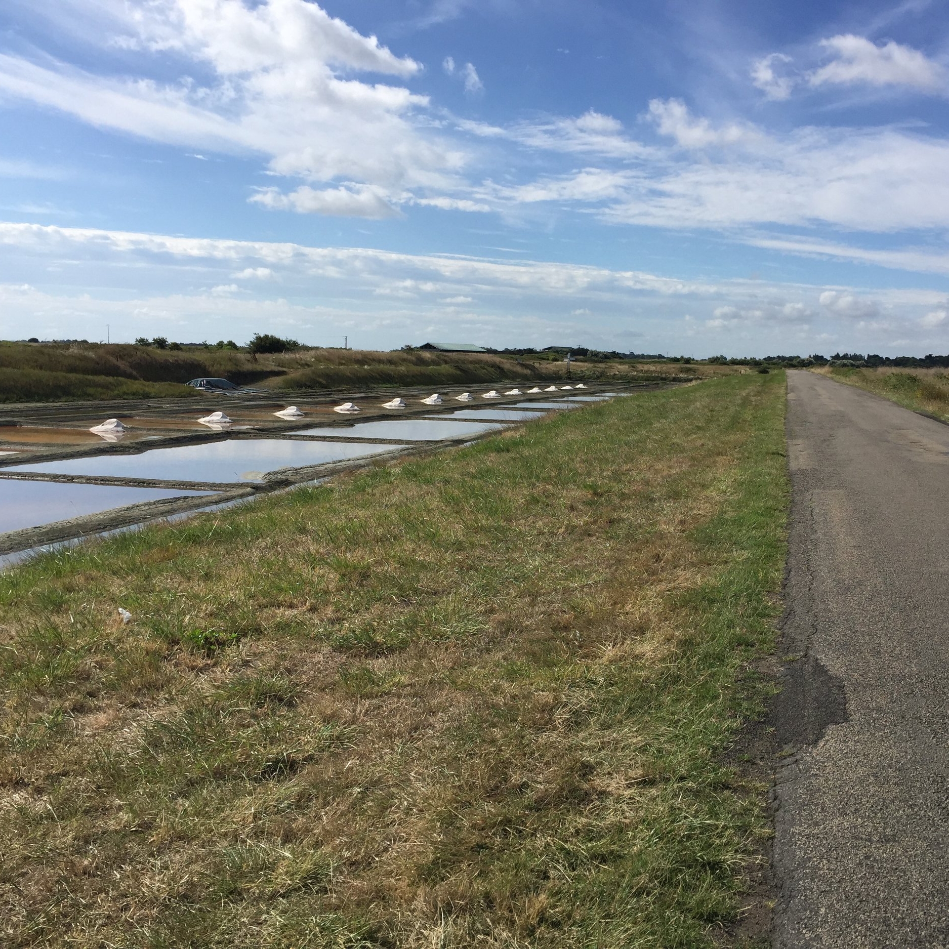 Biking the Velocean shore trail, passing a neat grid of salt marshes (Moutiers-en-Retz).