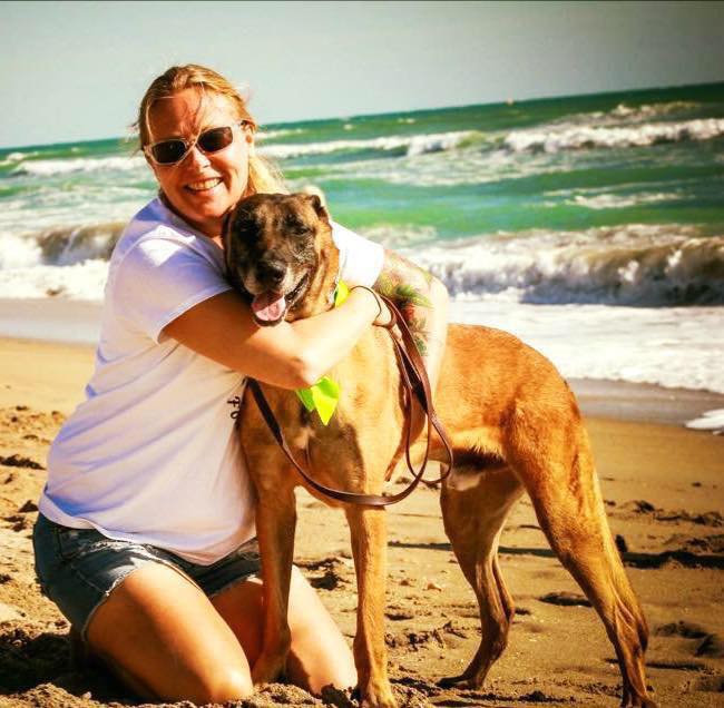 Palm Beach Dog Training on Beach