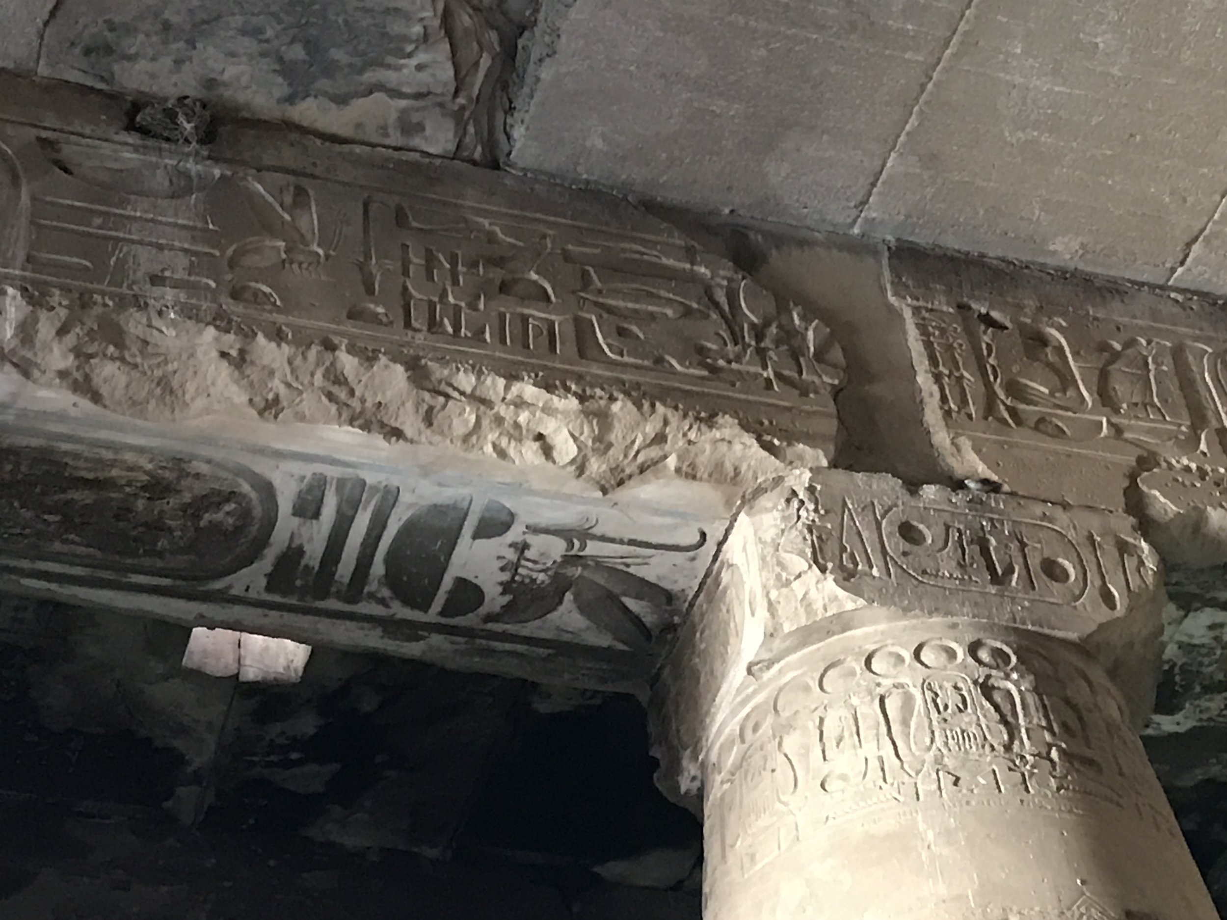 Controversial Hieroglyphs in Abydos (by Erika Mermuse)