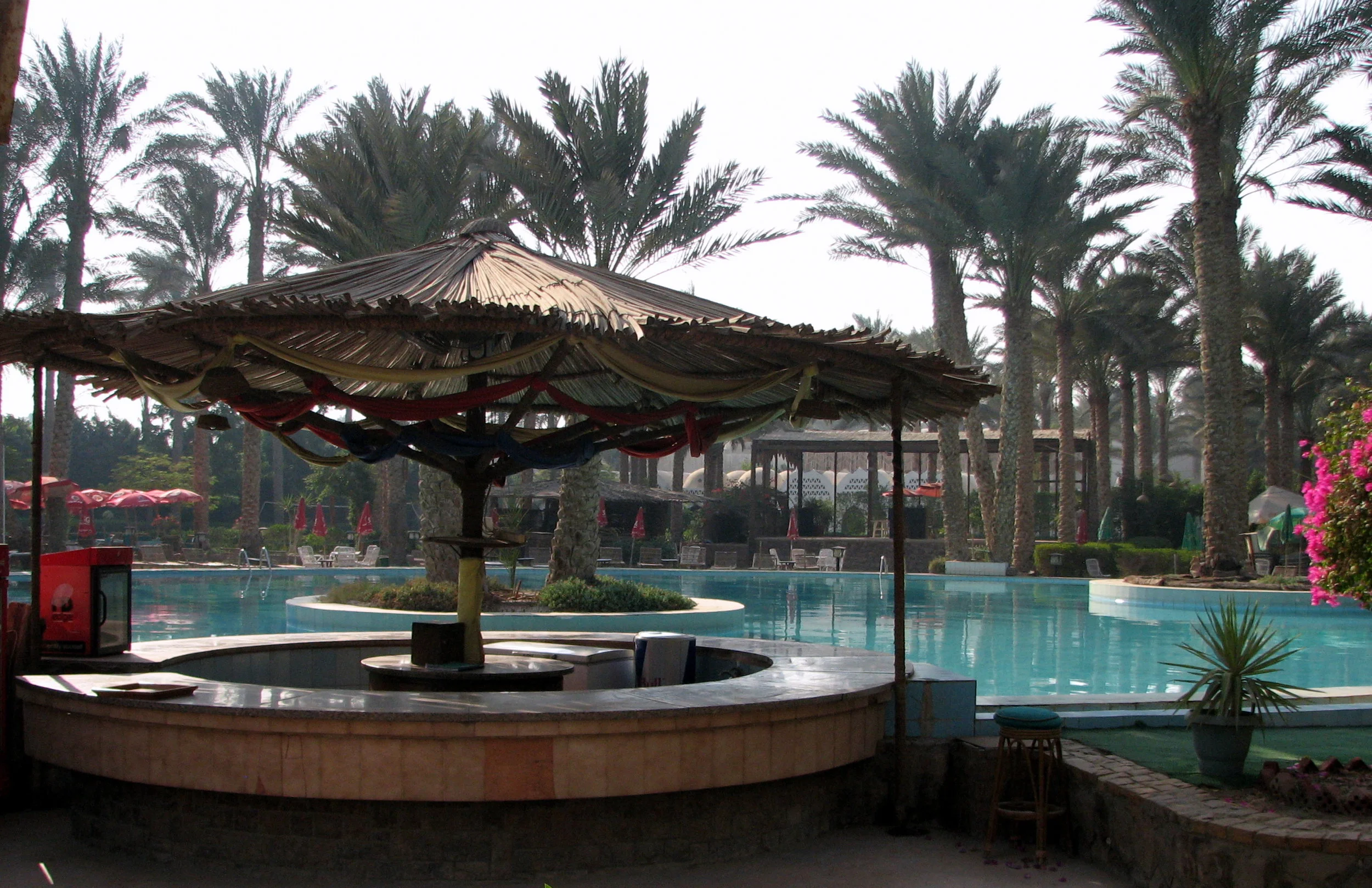 palm club pool.jpg