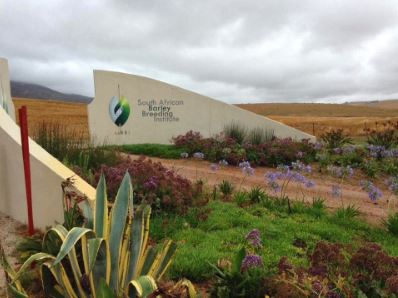 South African Barley Breeding Institute in Caledon. Supported by SABMiller. 