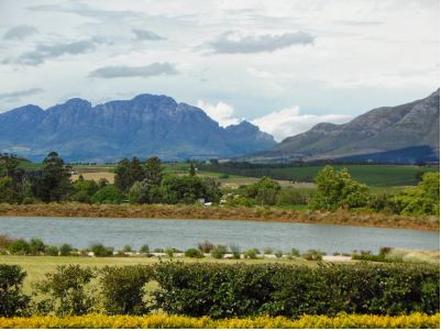 View from a South African Saddlebred horse farm - Saddlebreds originated in Kentucky!