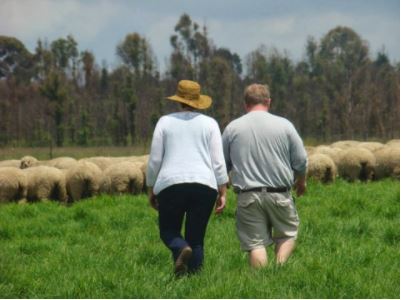 Brent Burchett (Ky Soybean) and I taking a closer look at sheep at farm in Belfast.