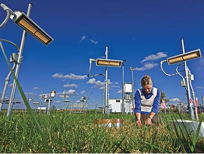 Rebecca McCulley uses infrared heat lamps to raise the ambient air temperature over her forage research plots by three degrees. The result so far? More crabgrass, which might not be a bad thing.
