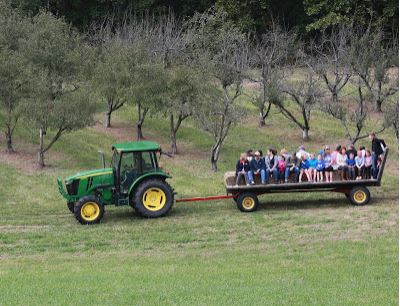 Festival goers take a tour of Browning Orchard