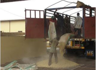 Unloading corn from bags into a dump pit at one of the government silo facilities in Akure, Nigeria, where McNeill's team had their second training workshop in March 2010. Photo provided by Sam McNeill