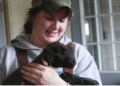 Students enrolled in the agriculture programs at MSU are learning more than just how to care for animals.