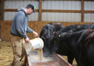 With the entire livestock sector being so valuable to the state ag industry, animal agriculture is playing a bigger and more significant role.