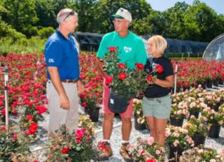 Robbie Smith, Keith Veech, andShawn Veech examine the roses.