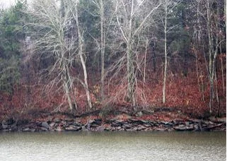 Many of Kentucky's waterways are still at below normal levels due to the dry fall. 