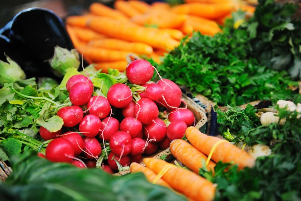 radishes and carrots.jpg