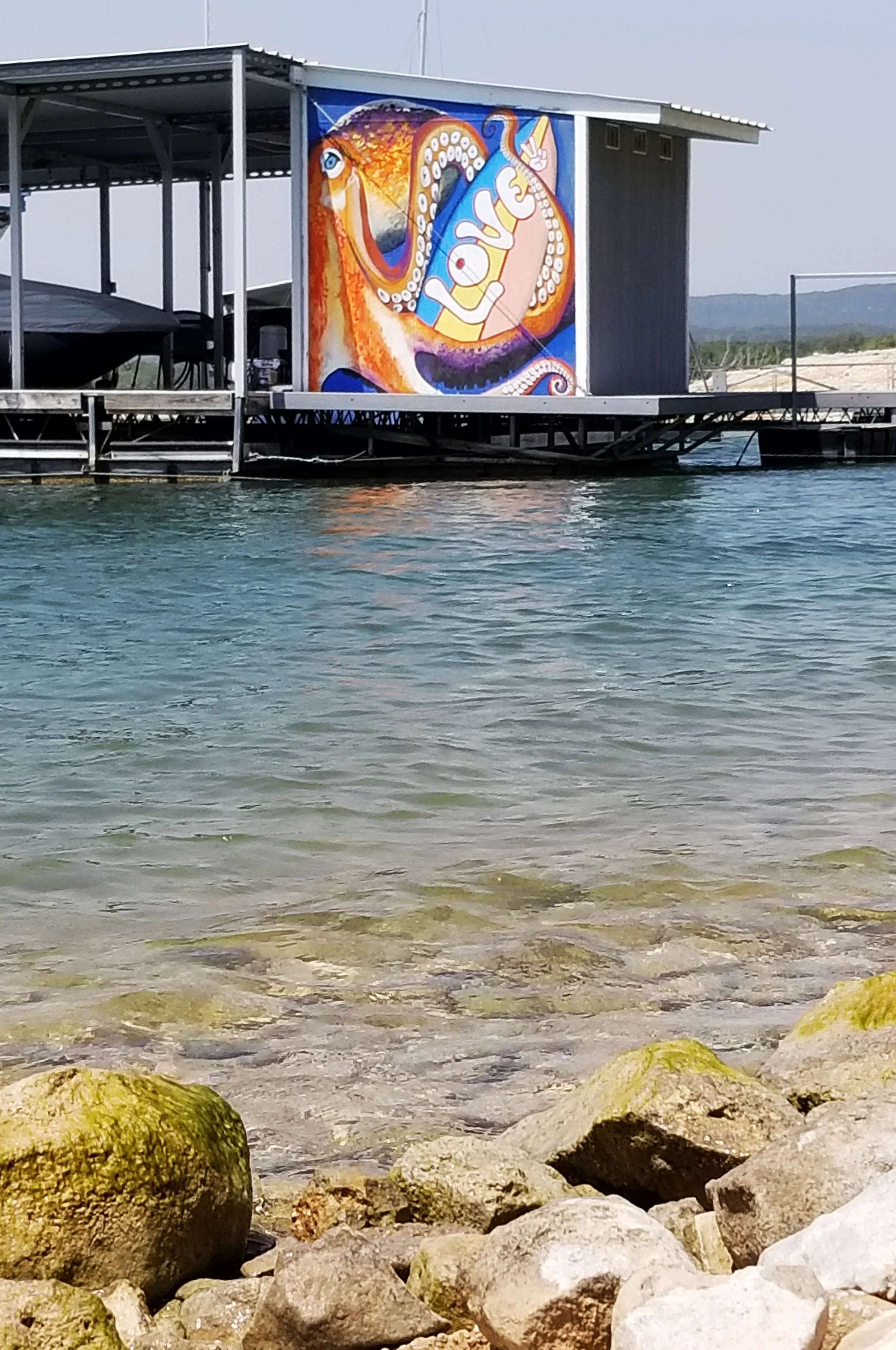 octopus lago vista (2).jpg