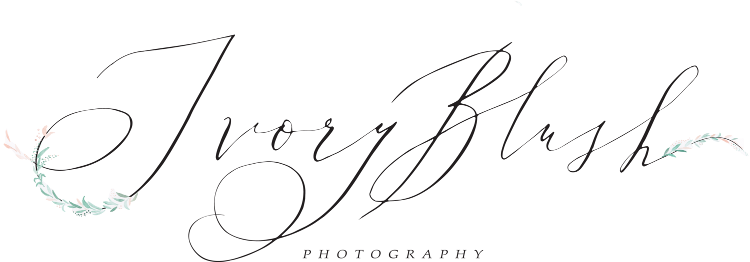 Wedding Photographer - 