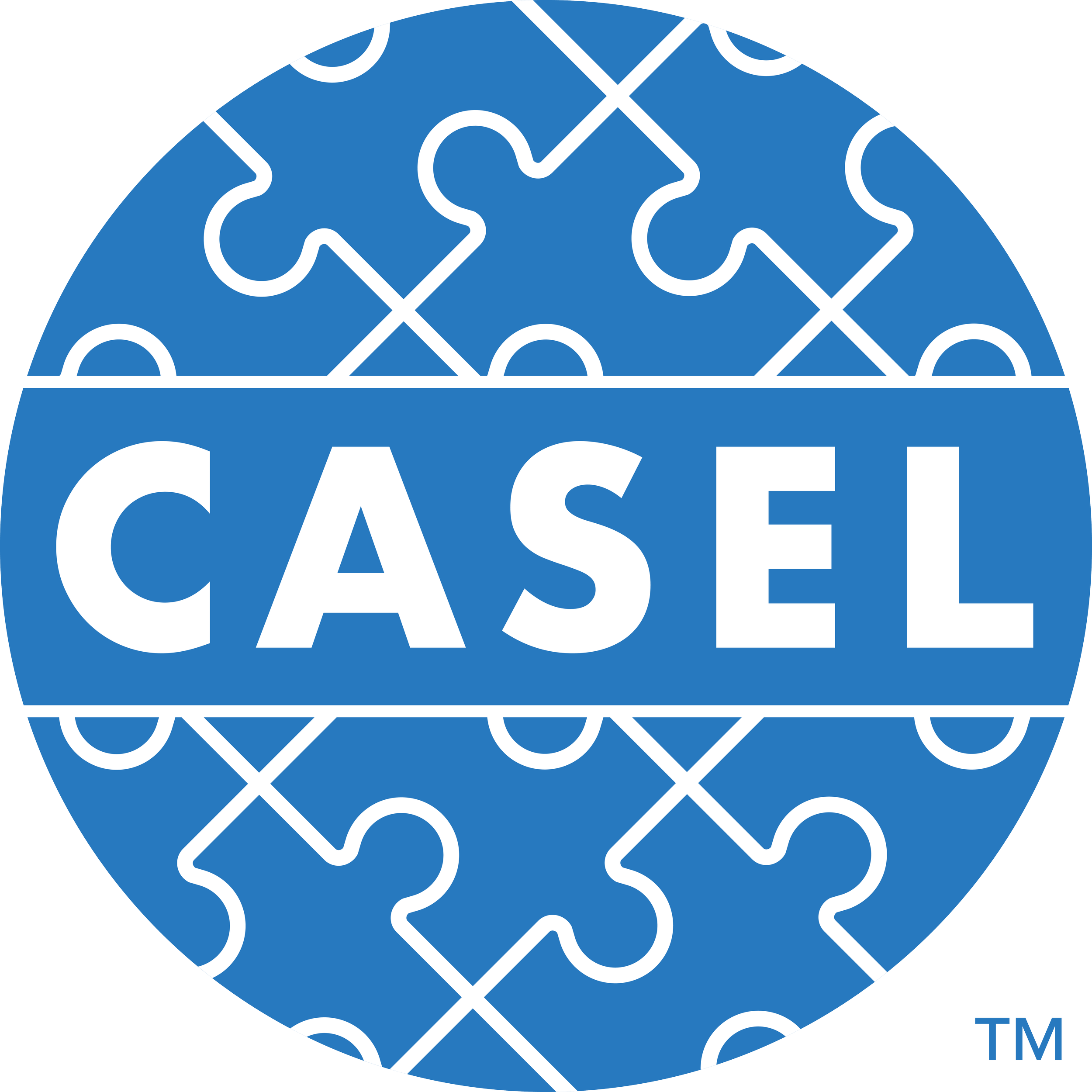 CASEL 2021 Primary Logo.png