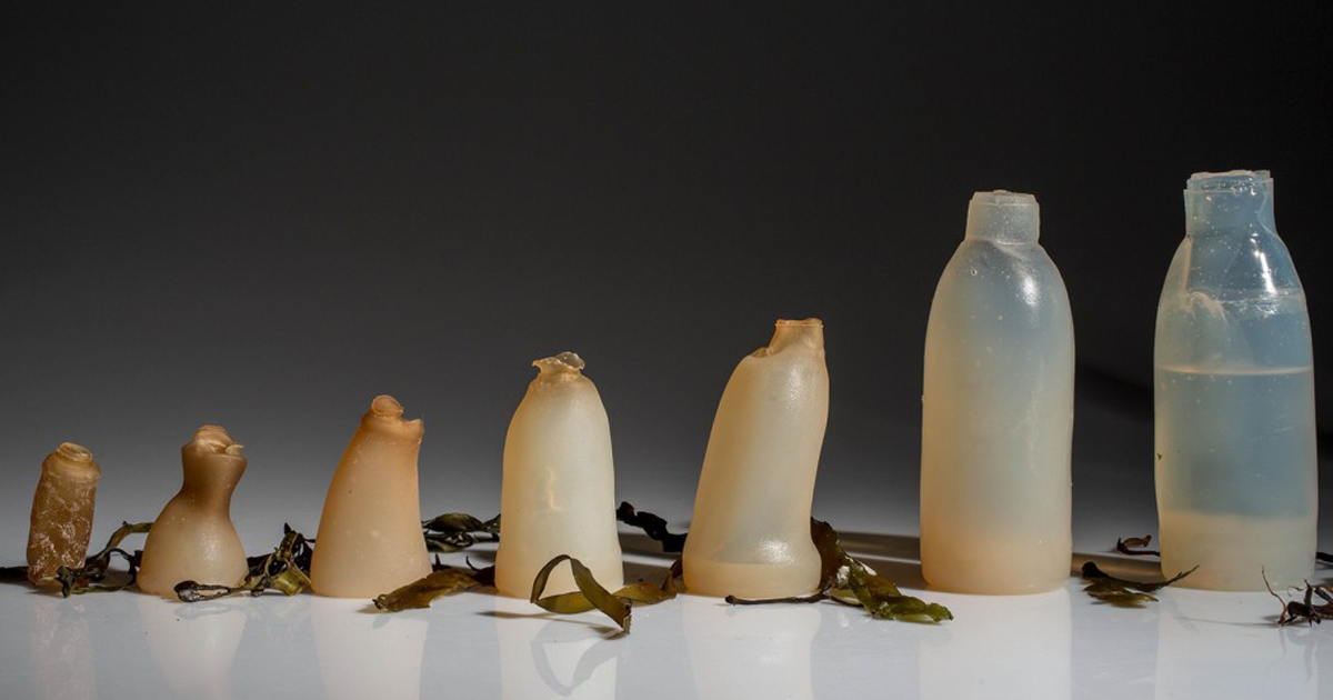 biodegradable-algae-plastic-replacement-ari-jonsson-raw.png