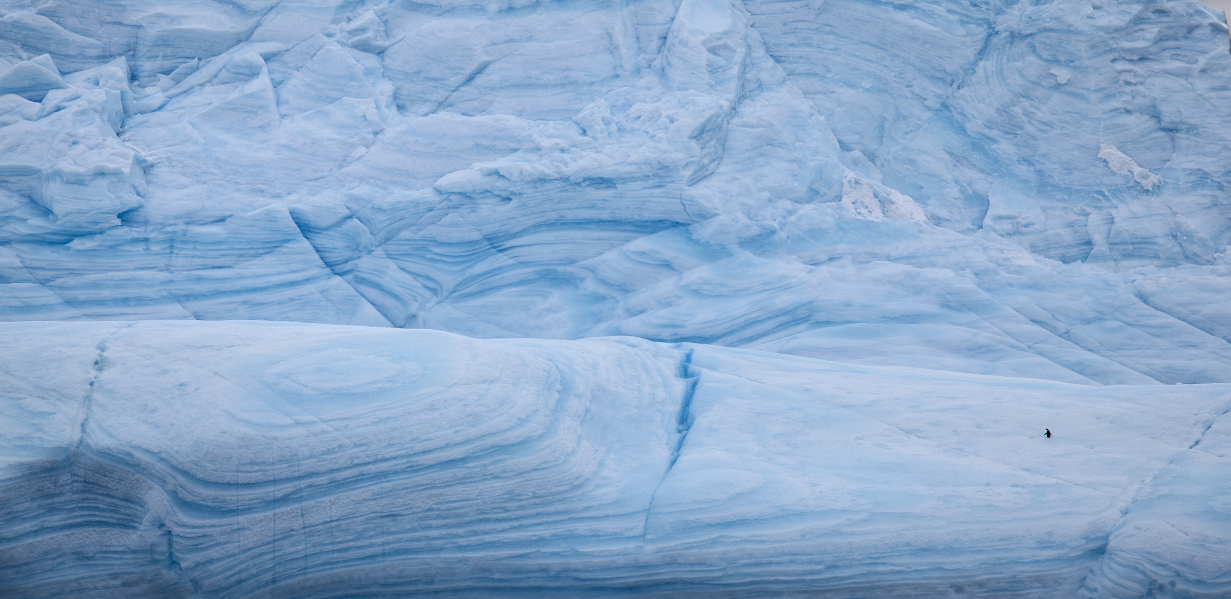 A single penguin on Antarctic ice.   JONAA©Ragnar Axelsson, RAX