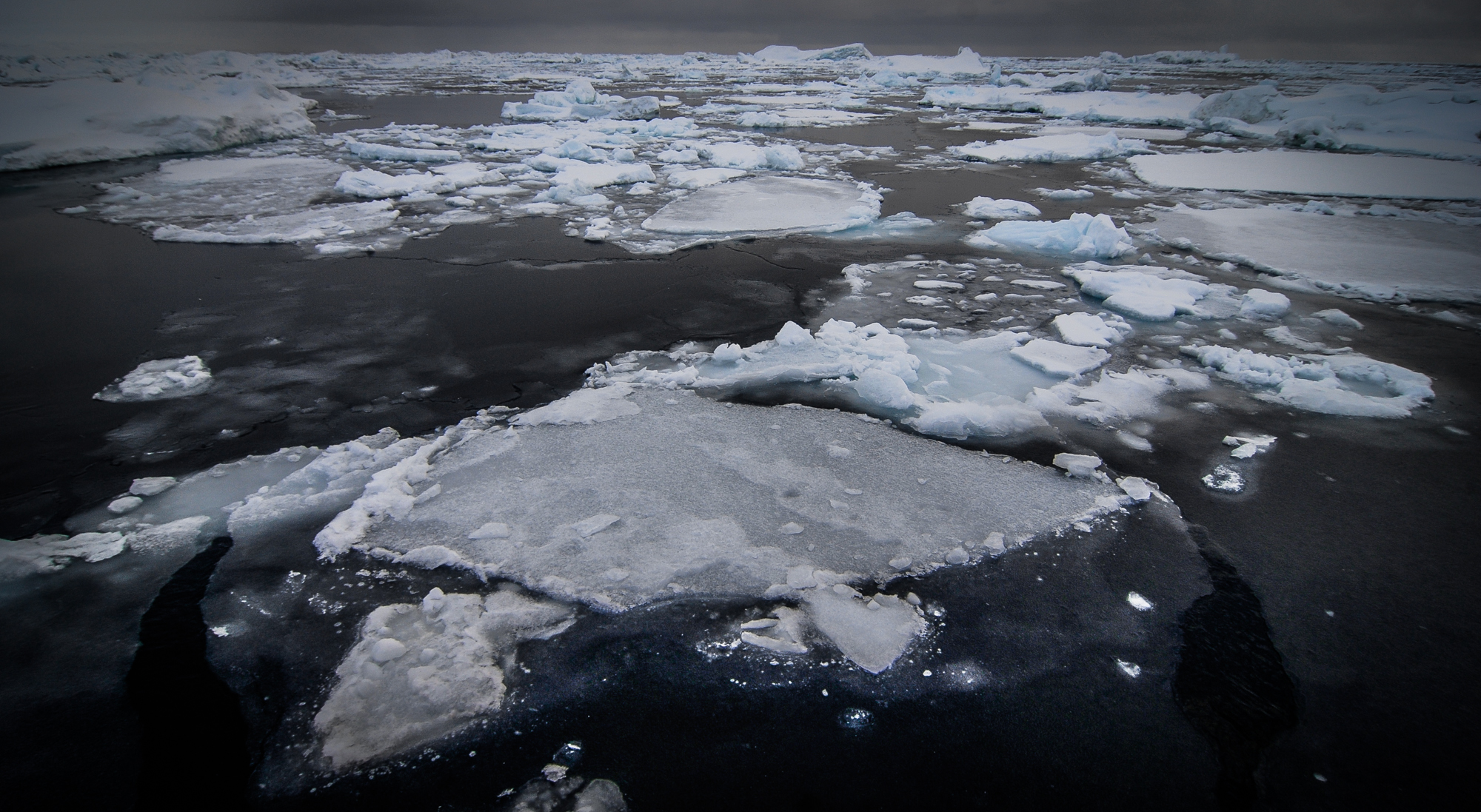 Effects of climate change are obvious in the Arctic. Thinning sea ice and less sea ice.   JONAA©Kristjan Fridriksson
