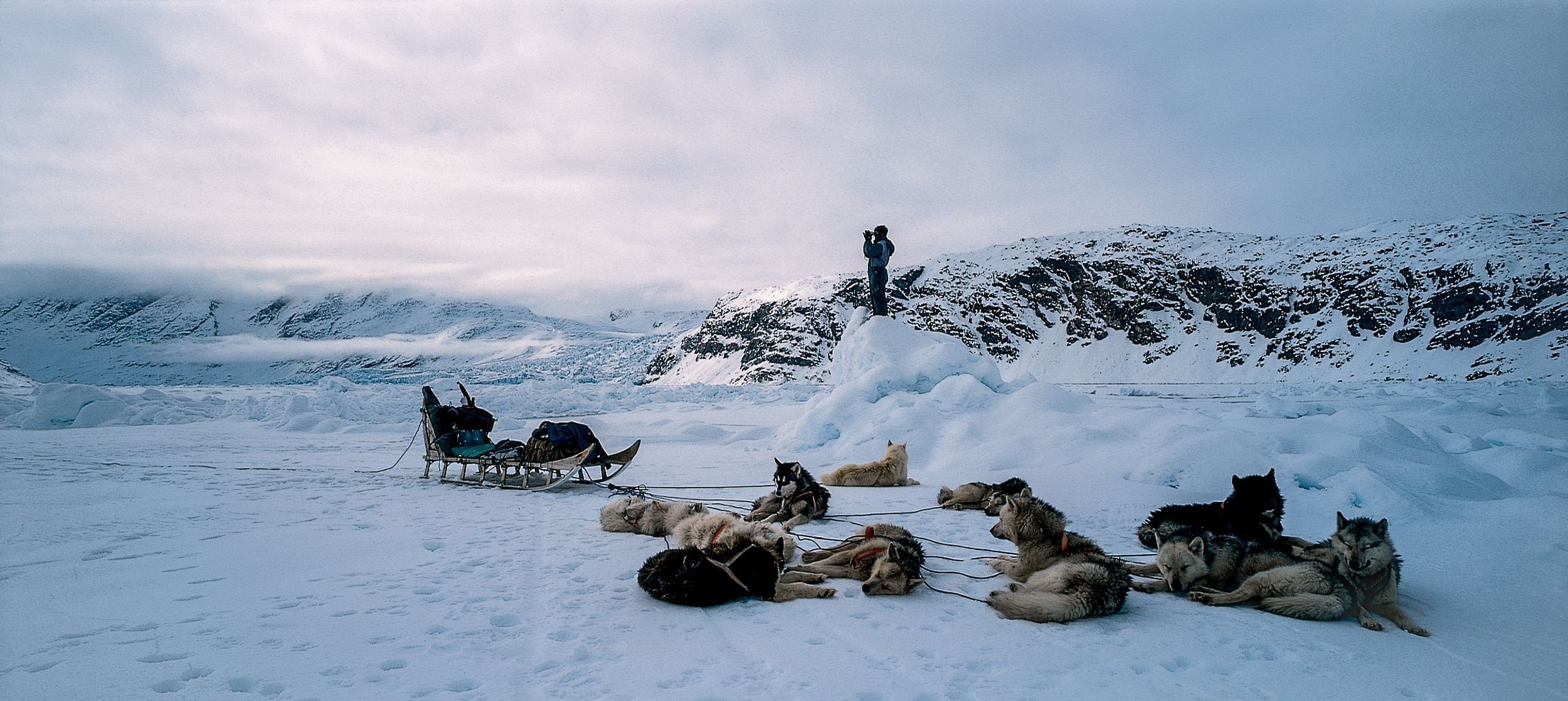 Following the footprints of a polar bear. Ulrik Sanimuinaq with his dogs on sea-ice in arctic wilderness, two days from the nearest habited settlement.  JONAA©Kristjan Fridriksson