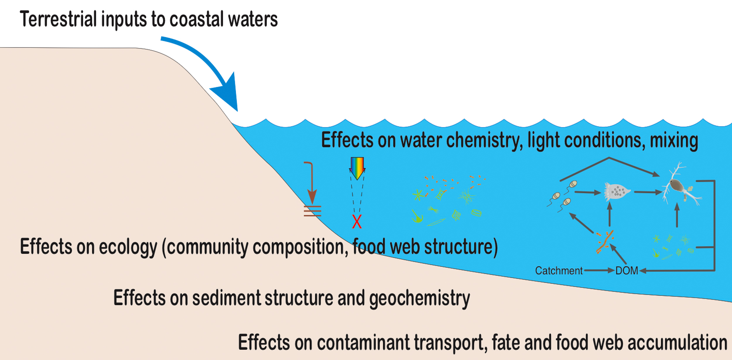 Conceptual framework for how terrestrial inputs can affect coastal biogeochemistry, ecology and contaminant dynamics. DOM = dissolved organic matter