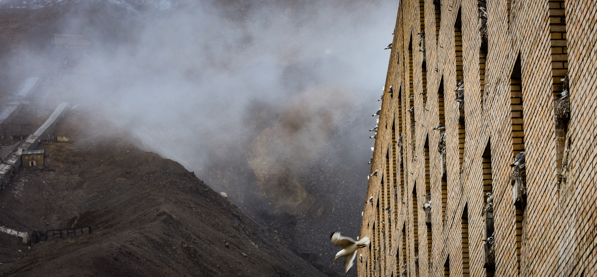 The Svalbard archipelago is famous for its bird-watching sites. This "bird-cliff" in Pyramiden though is somewhat unique. All pictures, JONAA©Thomas Nilsen