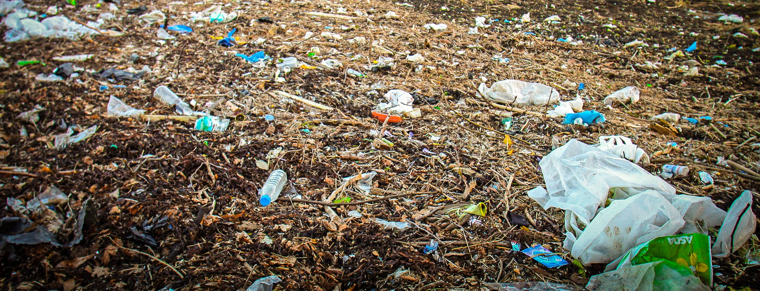 Were these products made of bacterially produced plastic, they would decompose instead of floating around in nature forevermore. JONAA©John Cunningham