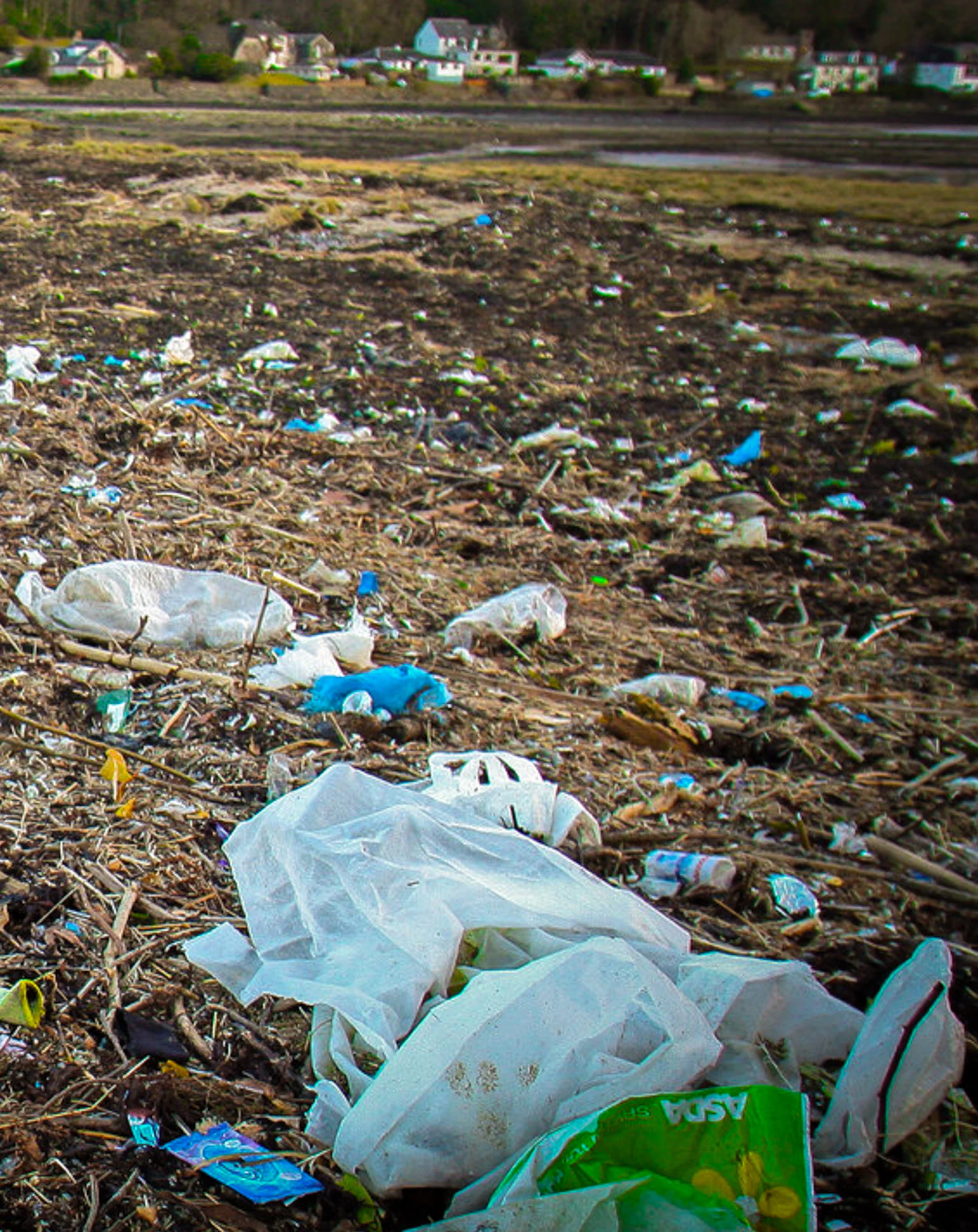 Plastic pollution bacteria JONAA@John Cunningham-1.jpg