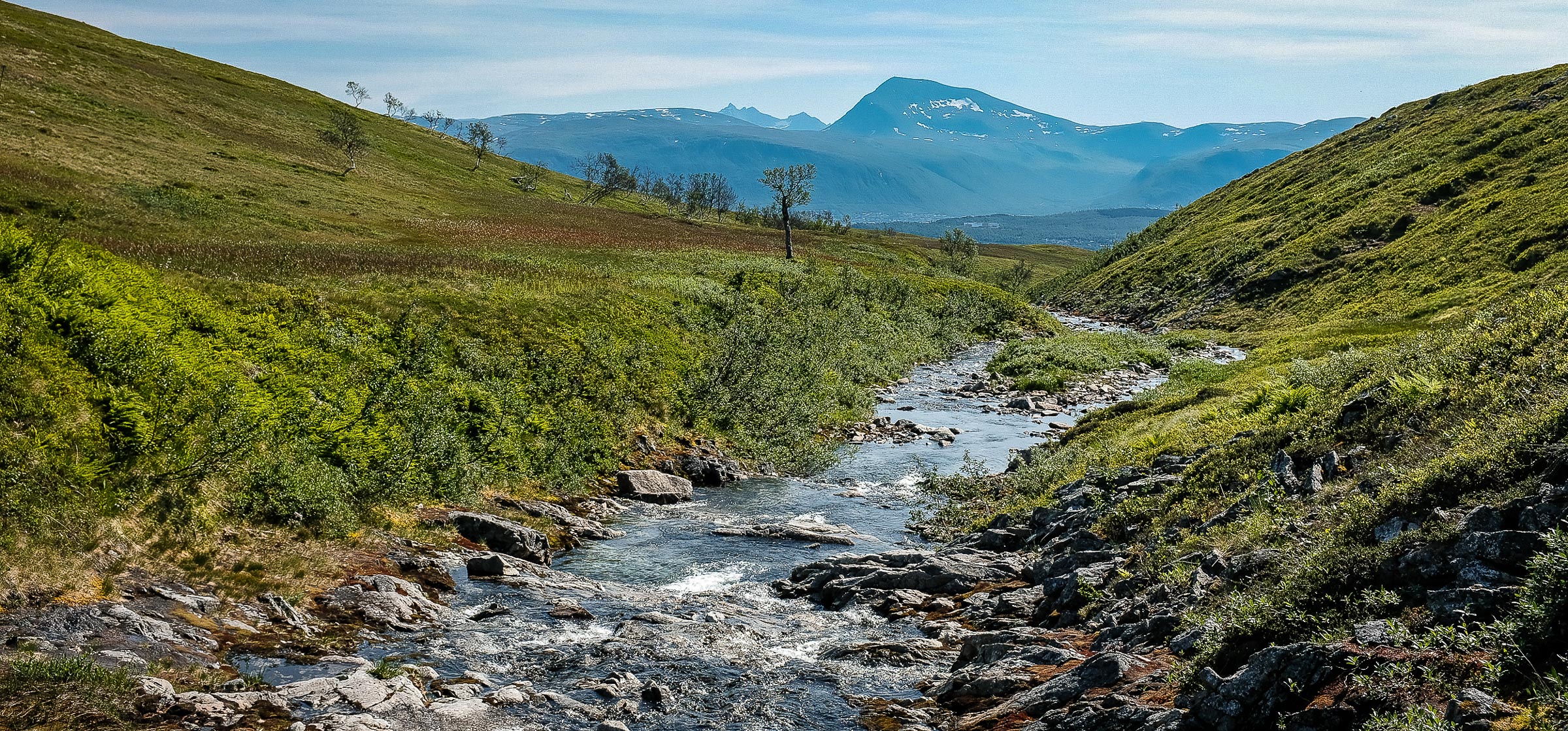 Arctic wetlands.  JONAA©Linnea Nordström