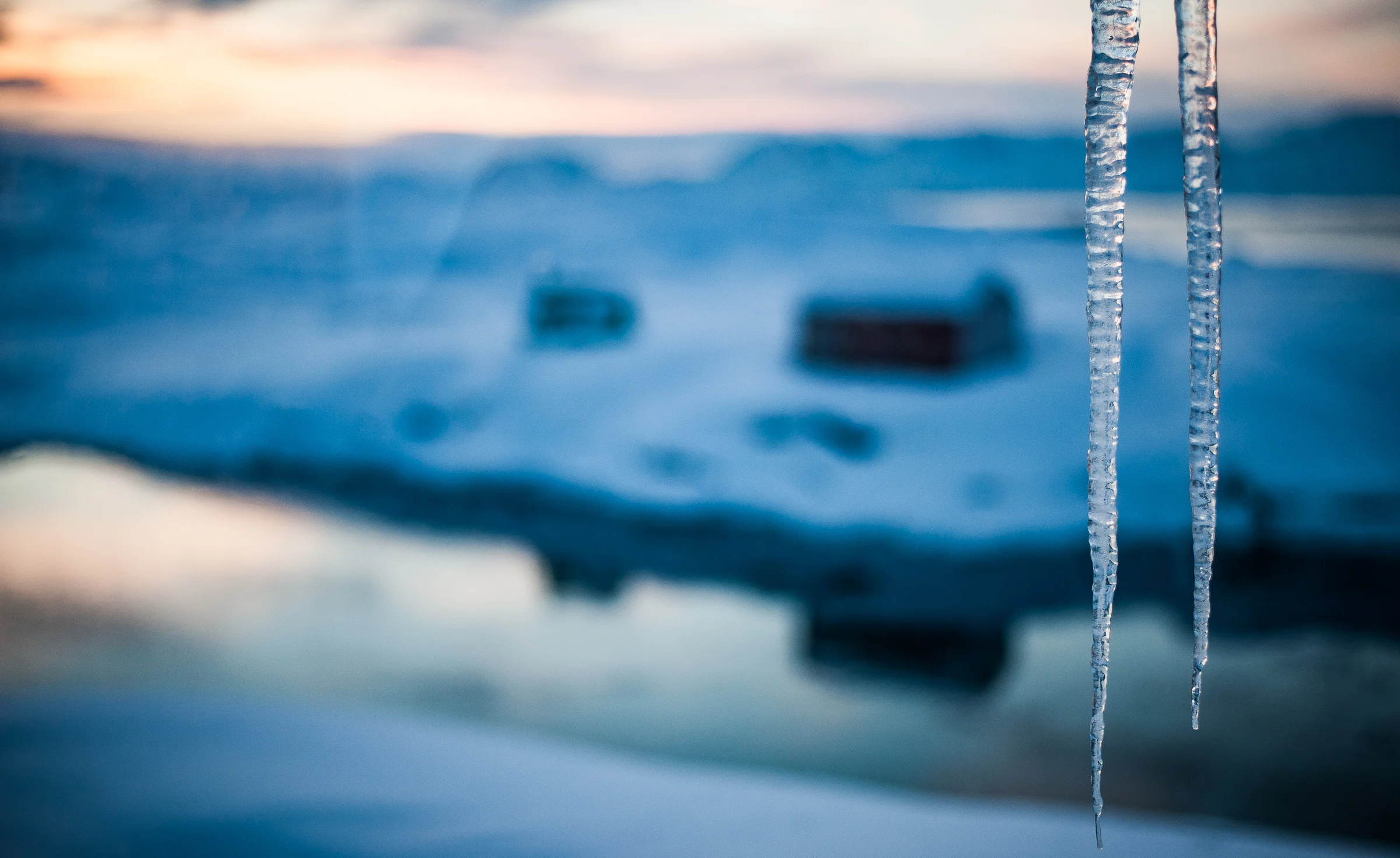 It is our lifestyle that is wrecking climate change and killing animals and other life forms. Photographed in Arctic Greenland where effects of climate change are starkly felt JONAA©Kristjan Fridriksson