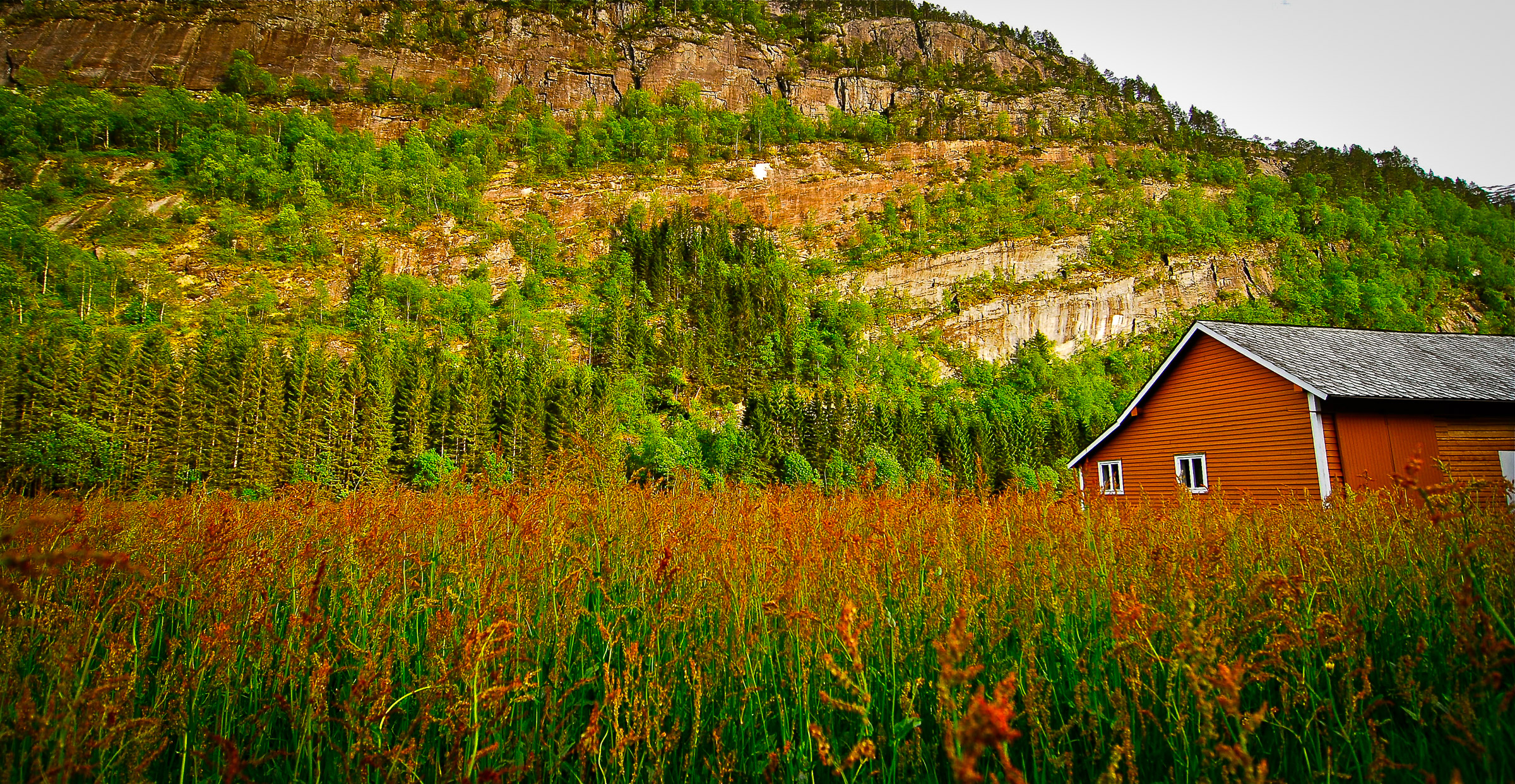 Nothing matches the colours of nature.  Photographed in Modalen, Norway.  JONAA@Kristjan Fridriksson