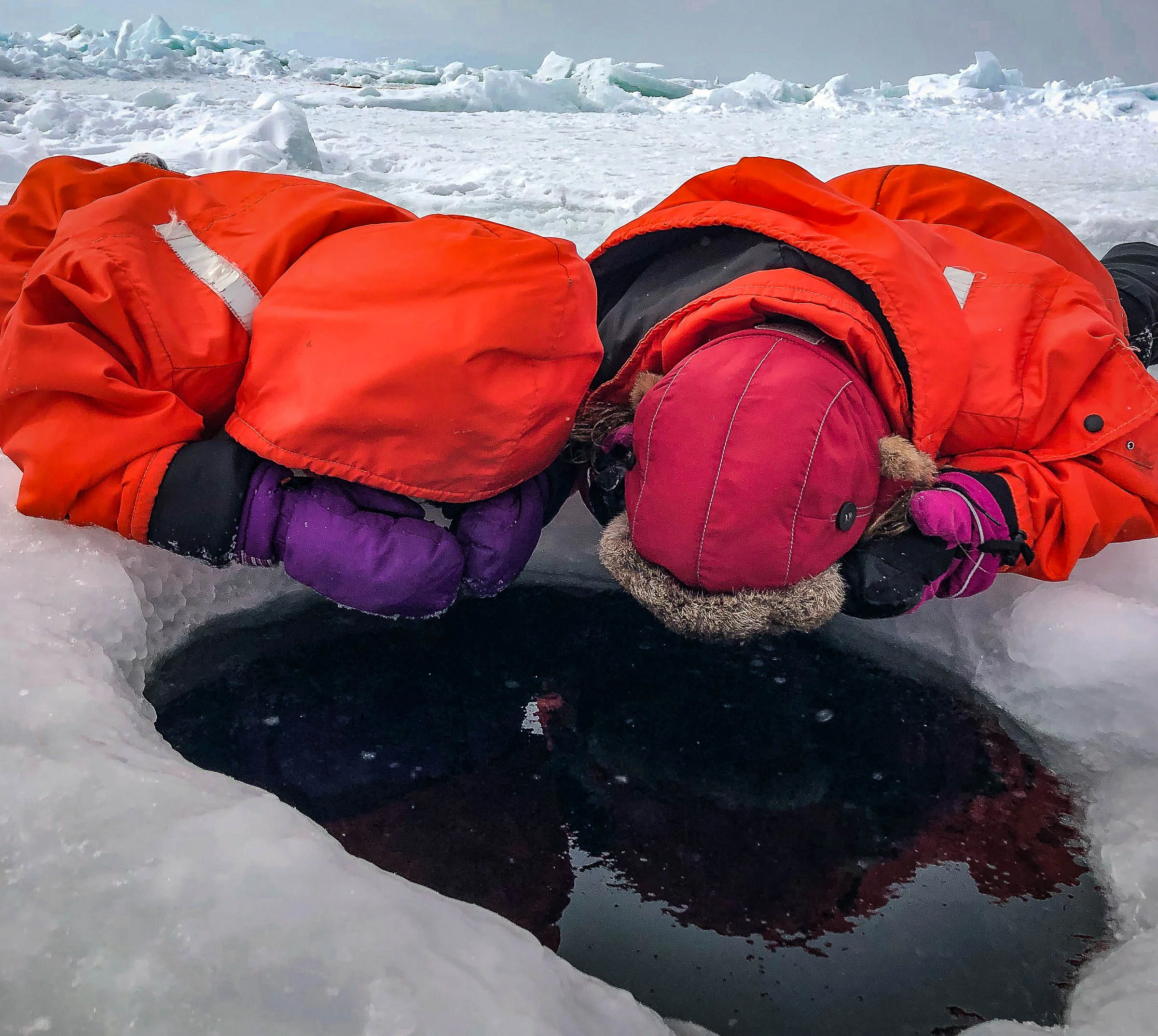 3 SealTourism Canada JONAA@Andrea King-6148.jpg