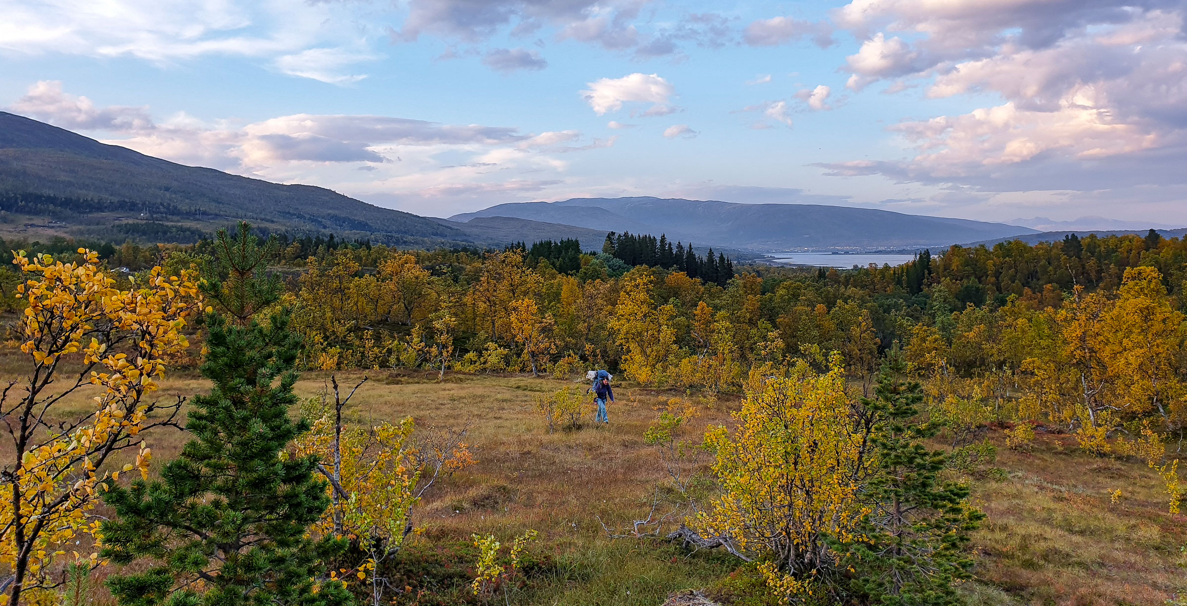 The right to roam in Norway applies to open country, sometimes also known as unfenced land.   JONAA©Helge M. Markusson
