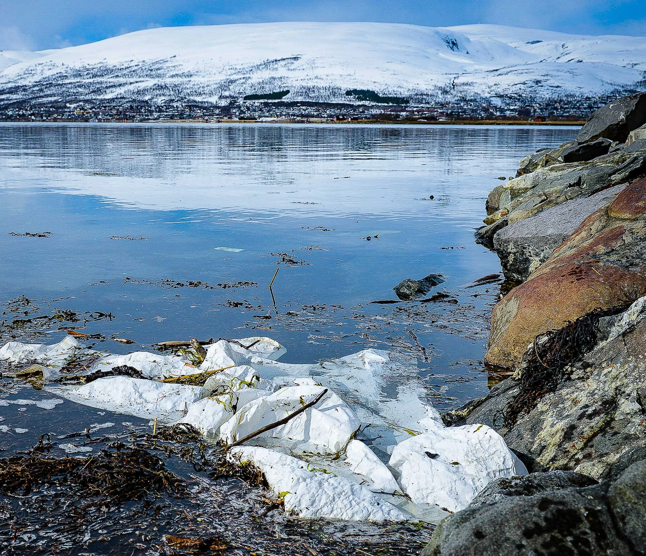Plastic Is Found Everywhere In The Arctic - The Simple Truth
