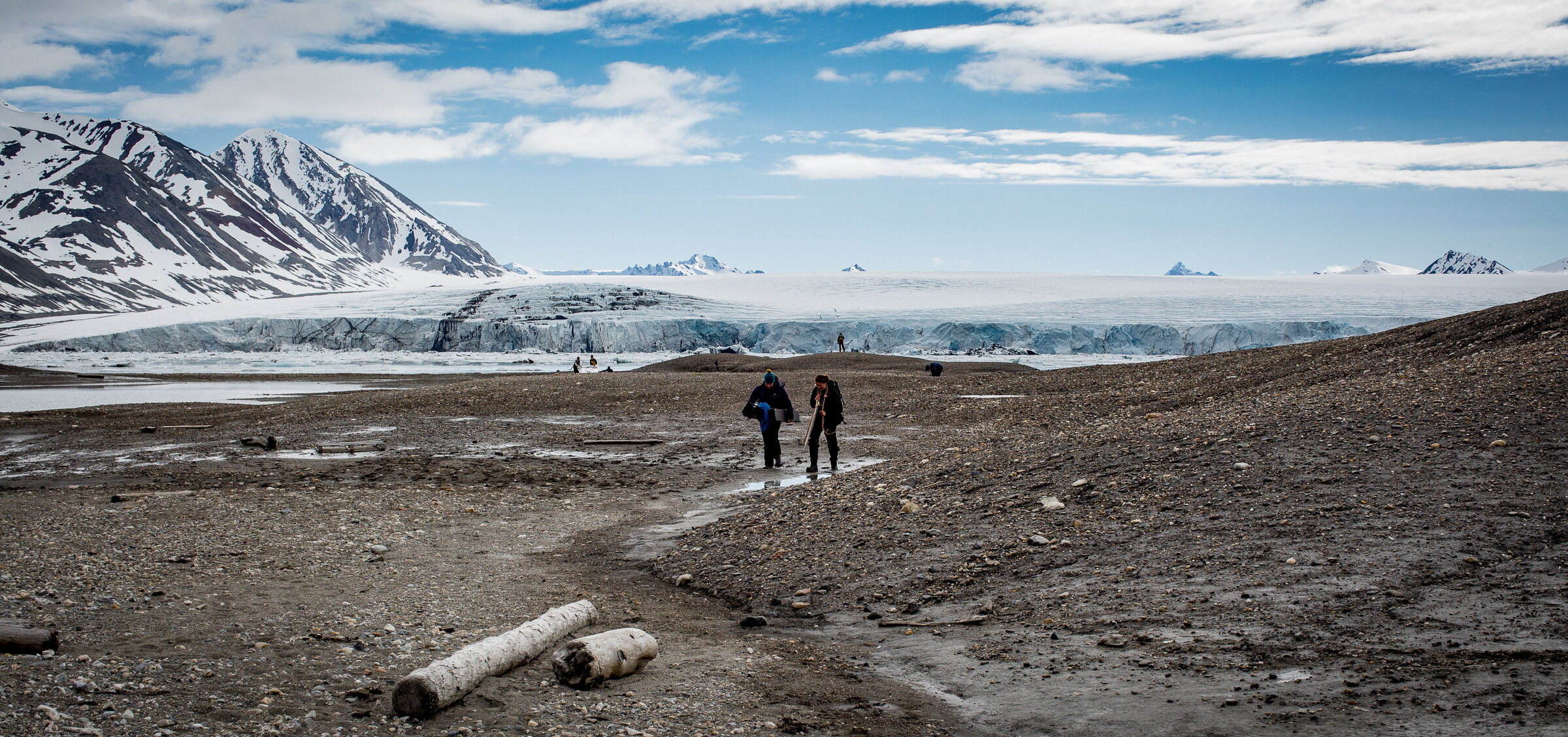  Tread carefully when in Arctic territory - and do so on clean hiking-boot soles! A study of footwear on arriving tourists at Longyearbyen Airport showed the average of 3.9 seeds found on each person arriving to Svalbard. To clarify the risk involved