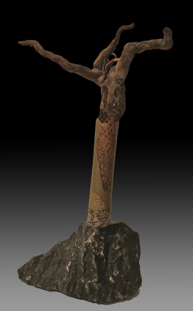 Cholla Sculpture 1