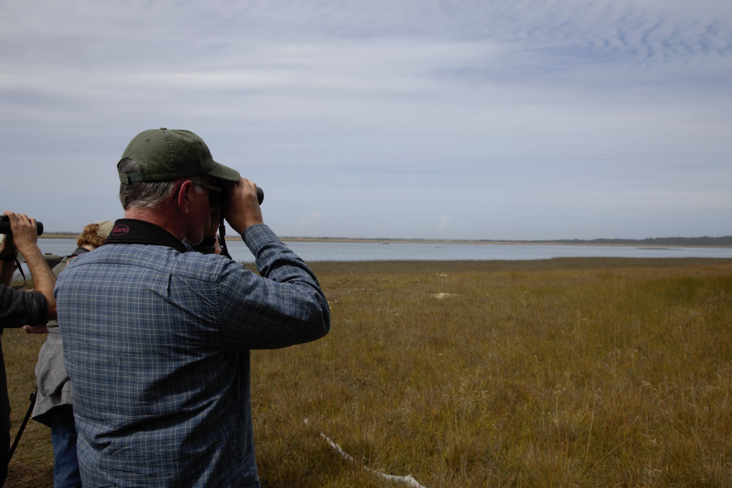  Presenter Tim Boyer spots a Peregrine Falcon in the distance at Bandon Marsh National Wildlife Refuge. Photo by Lila Bowen 