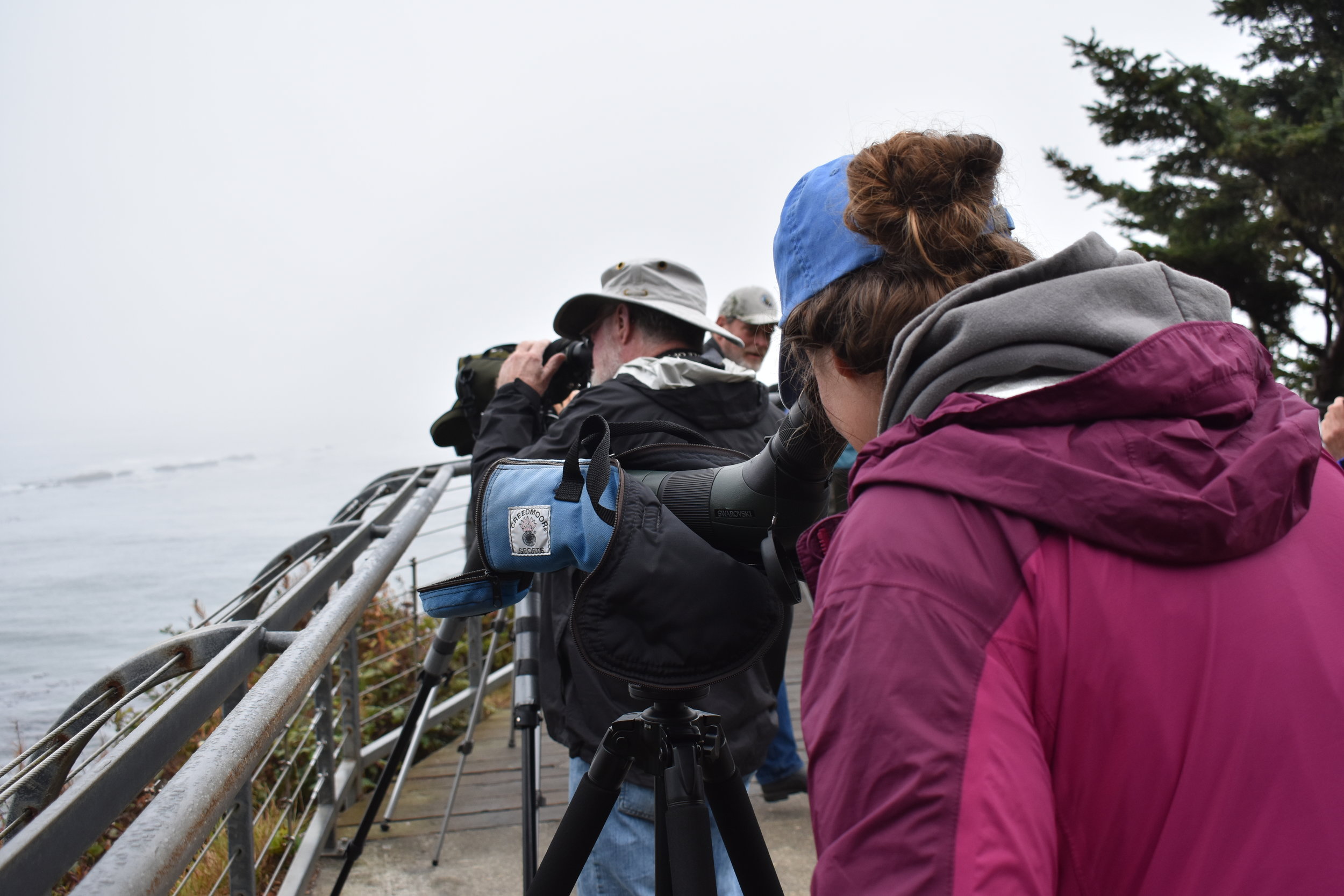  Birding at Simpson Reef Overlook. Photo by Taylor Brooks 