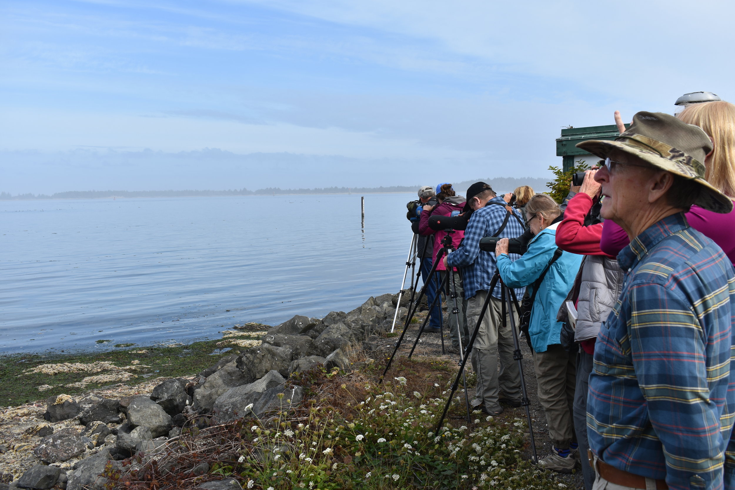  Birding at the South Jetty. Photo by Taylor Brooks 