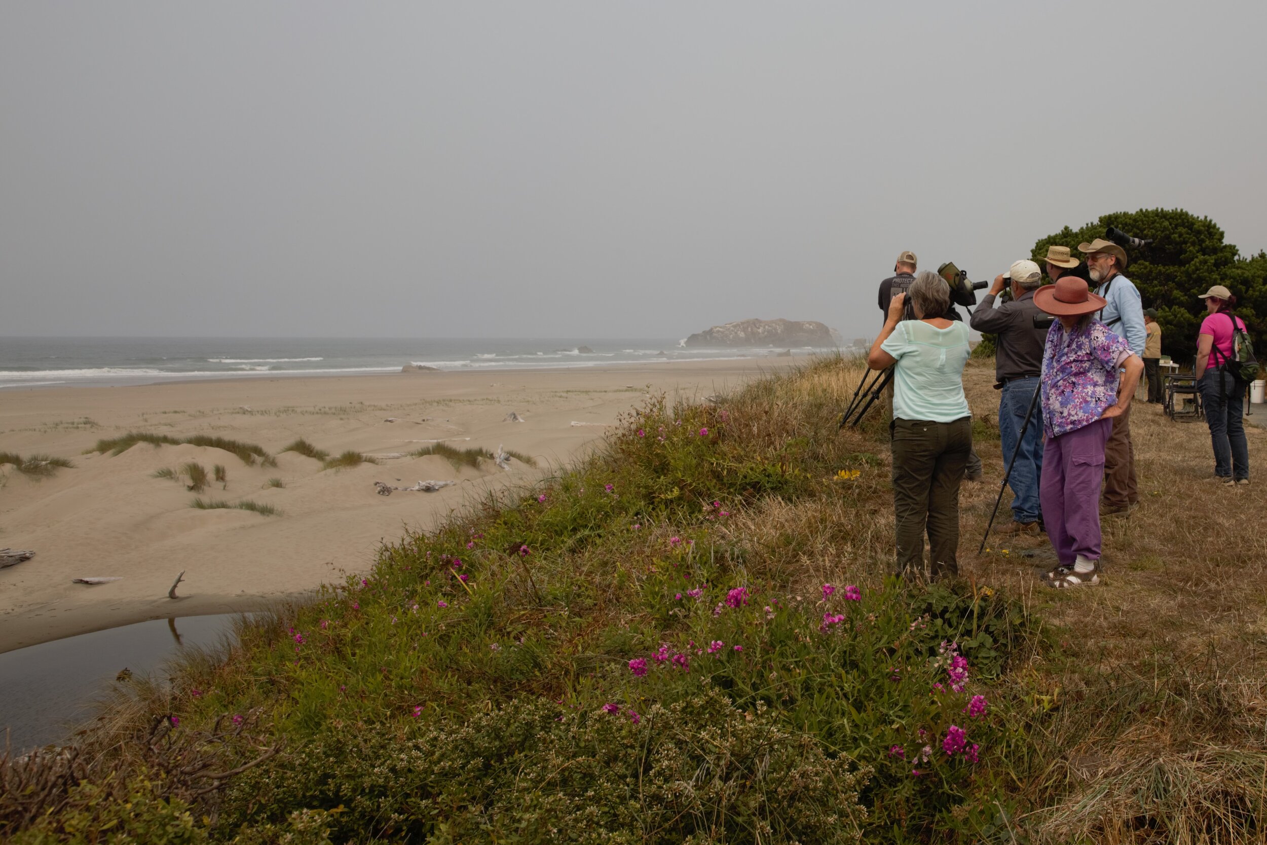  Searching for Snowy Plovers at China Creek. Photo by Lila Bowen 