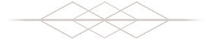 Salus_Studio_Seperation_Icon.png