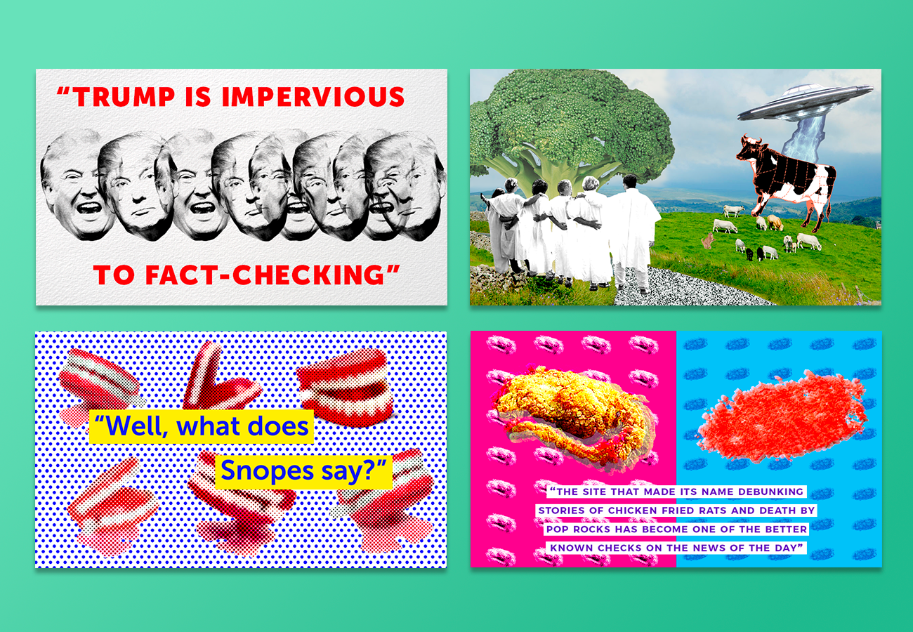 Outside of the main campaign, community events and thought leadership programs we focus and highlight interesting and sometimes niche internet happenings. These were a series of graphics created for a series of editorial pieces created by our Editors Jordana and Nicole about the history Snopes fact checking site.