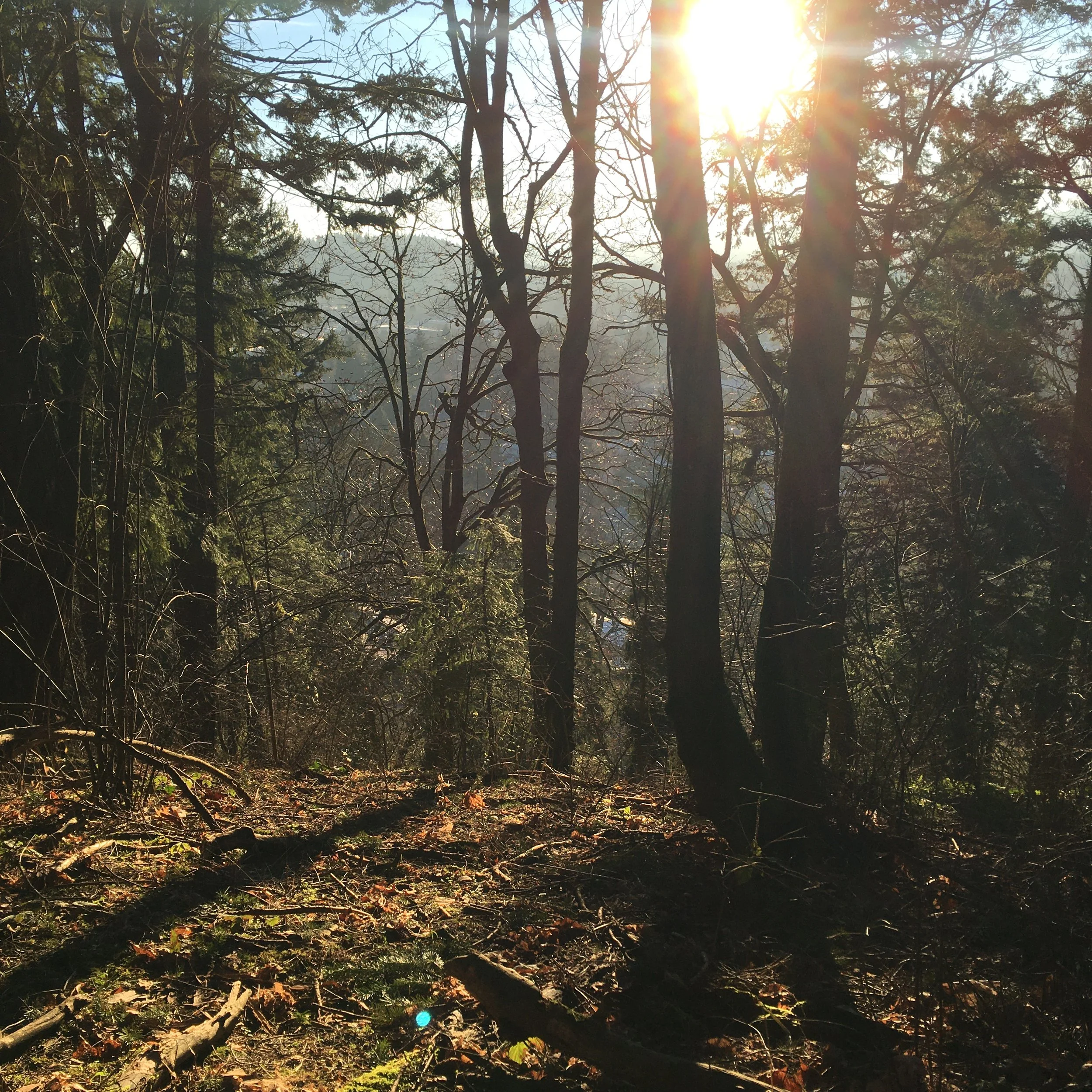 Happy Lunar New Year &lt;3 