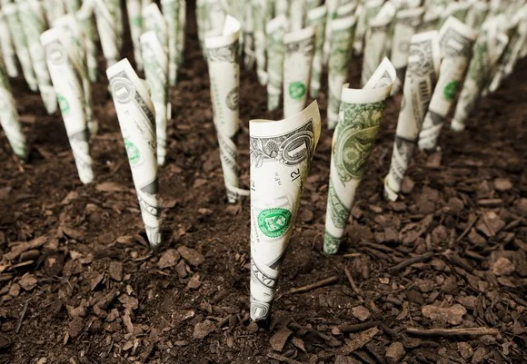 Double your money and get nice thank you gifts when you donate by August 31st! You can plant the seeds for success. We promise to nurture them and ensure they grow. 