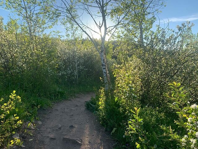 When most people walk it&rsquo;s to exercise or to go from point a to point b. Have you ever taken a walk just to connect with nature? Notice everything! It&rsquo;s such a fun experience. Notice the plants, the flowers, the bugs. Notice the way the l