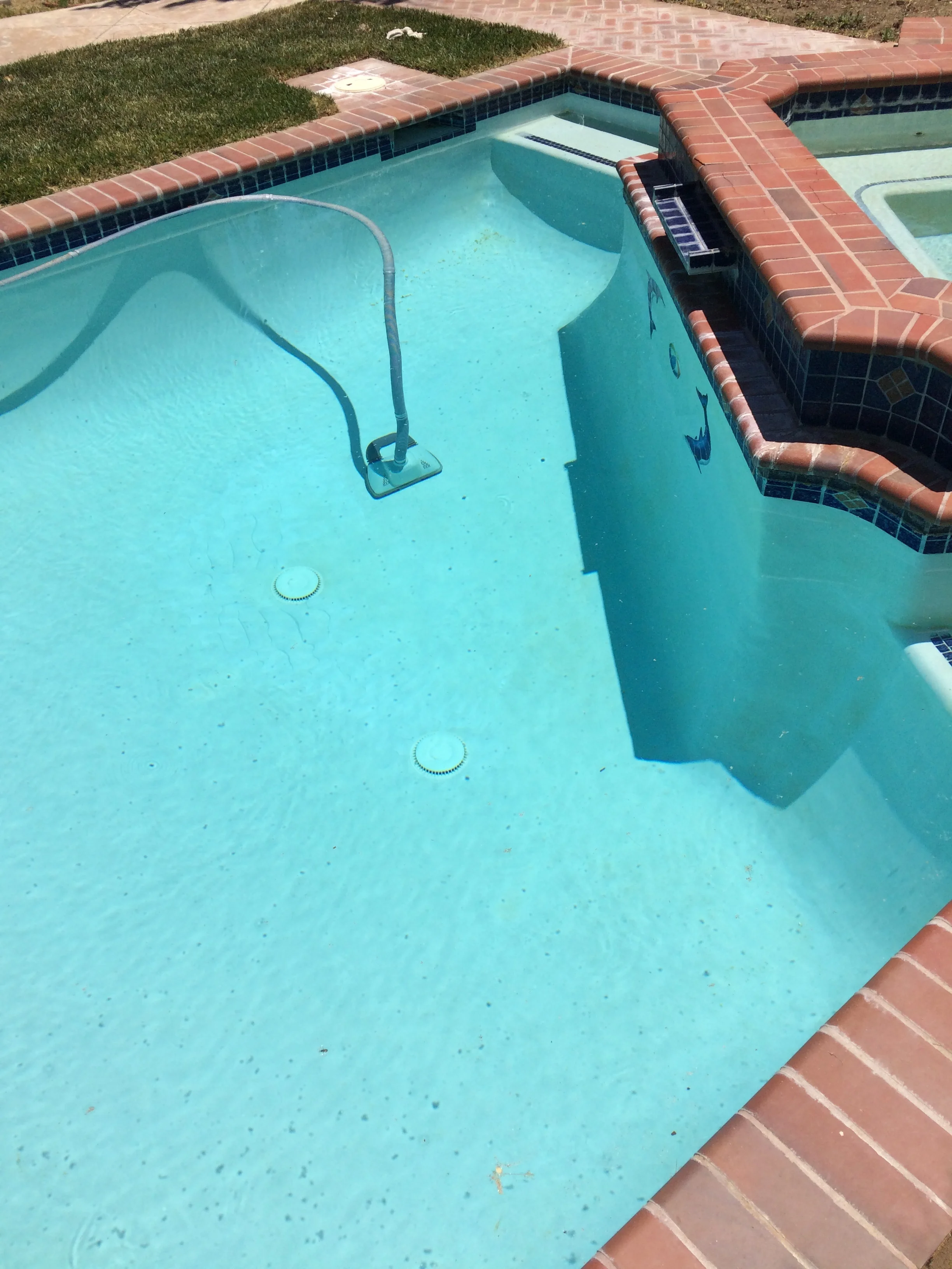EZ Pool Service Owned by Erik Zindroski in Santa Clarita CA - Residential pool being cleaned.JPG