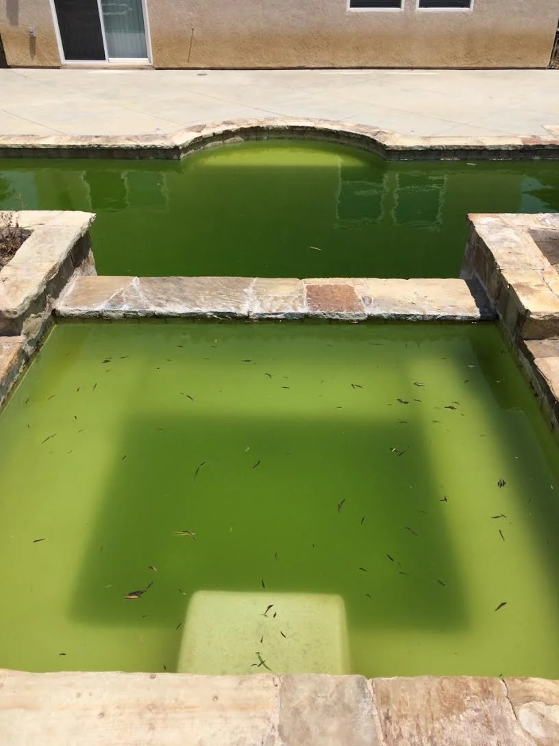 Erik Zindroski Pool Service - Picture of unmaintained green pool water - Santa Clarita Valley Pool Cleaners.jpg