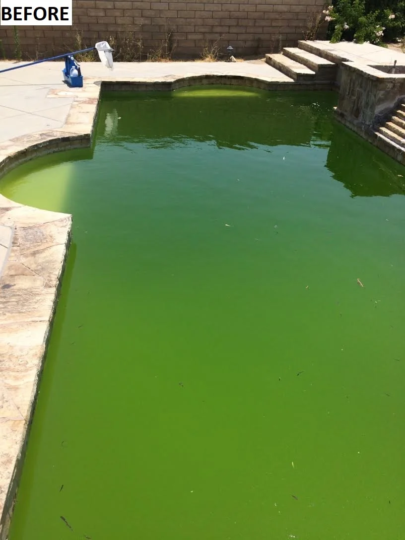 Erik Zindroski Pool Service - Santa Clarita Valley Pool Cleaners - Picture of unmaintained green pool water.jpg