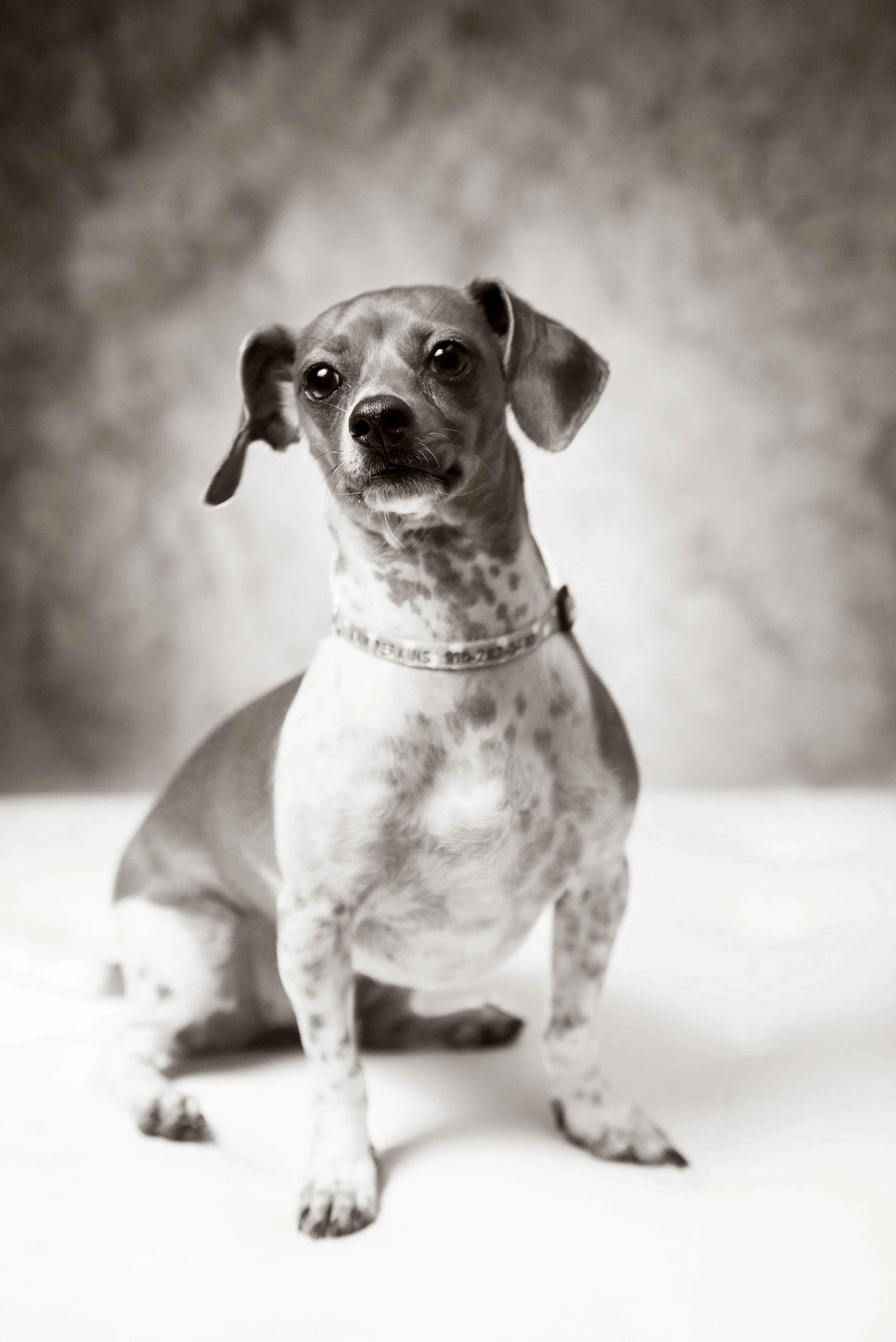 Mother's Day Brunch at Cameron Art Museum