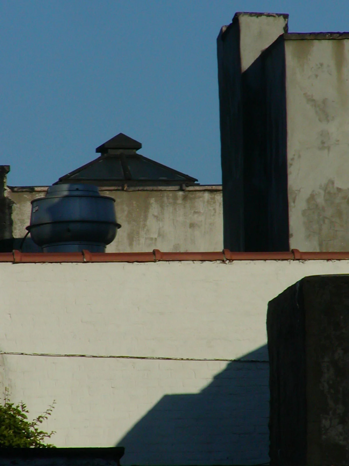 Early-Morning-Shadows.jpg